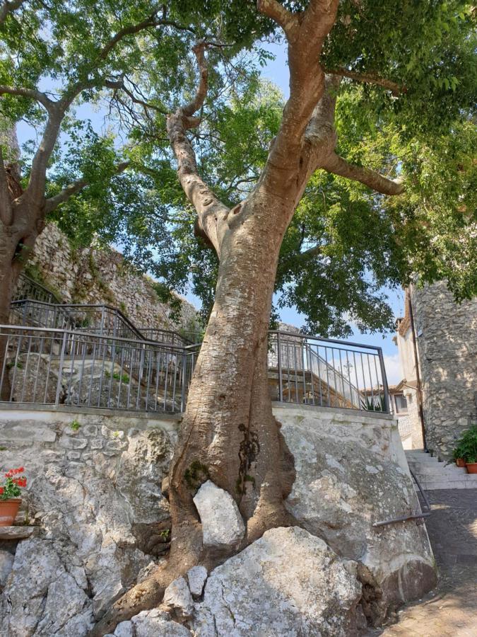 Casa Di Mamma Rosa Βίλα Castelnuovo Parano Εξωτερικό φωτογραφία